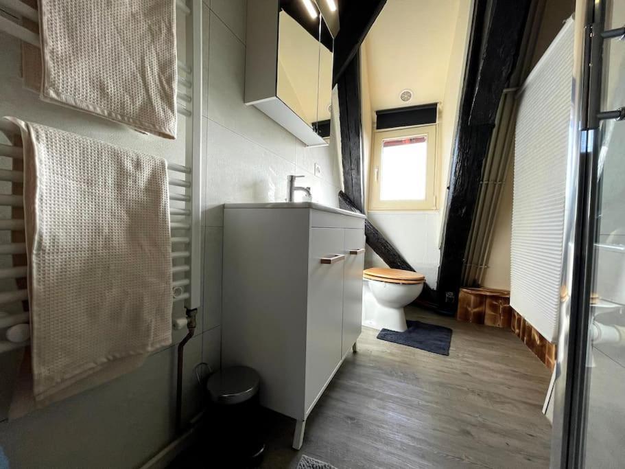 شقة Selestat Centre - L'Unique - 4 Pers - Cosy المظهر الخارجي الصورة